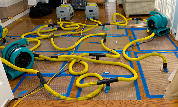 Professional Sewage Cleanup technician working in Plainfield, NJ